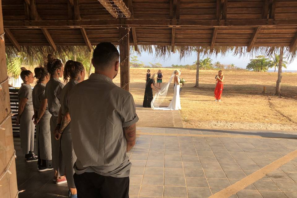 Waiters admiring bride