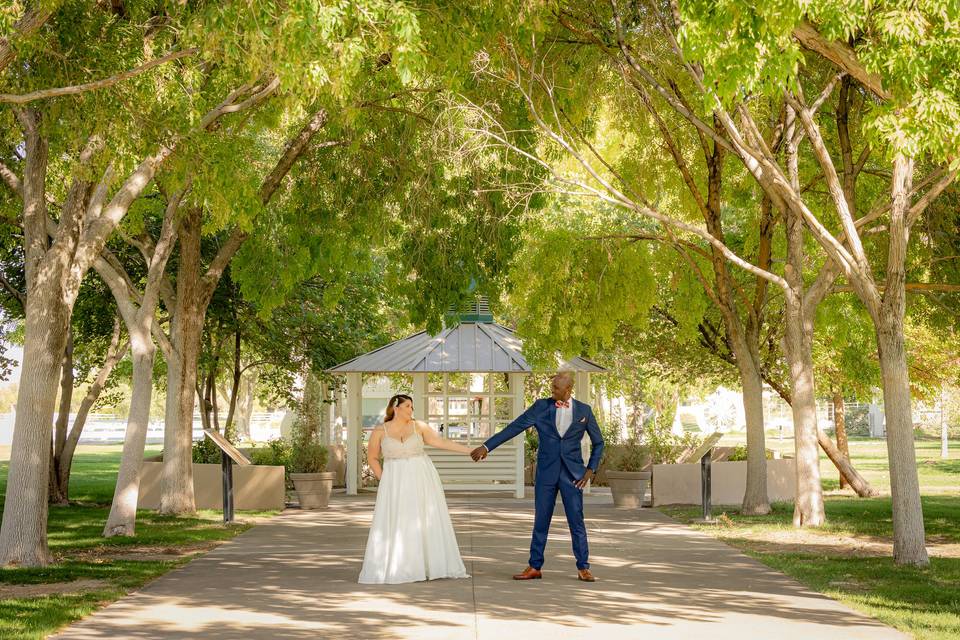 Wedding Portraits Tule Springs