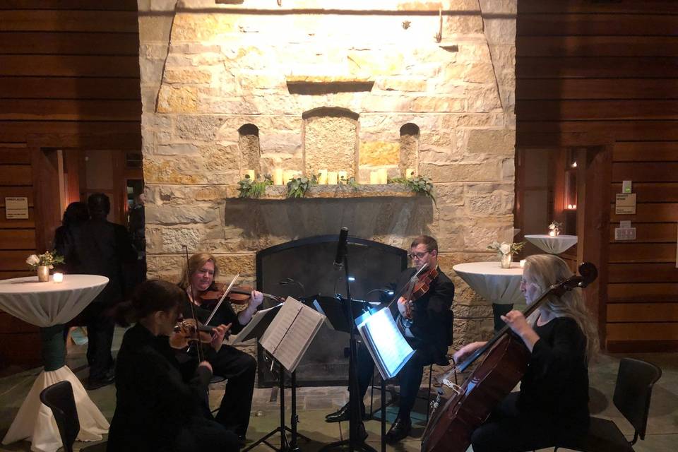 Wedding violin at the lake