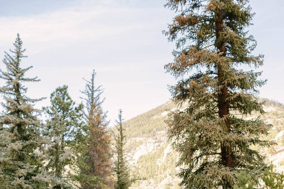 Weddings on Fall River at Estes Park Condos