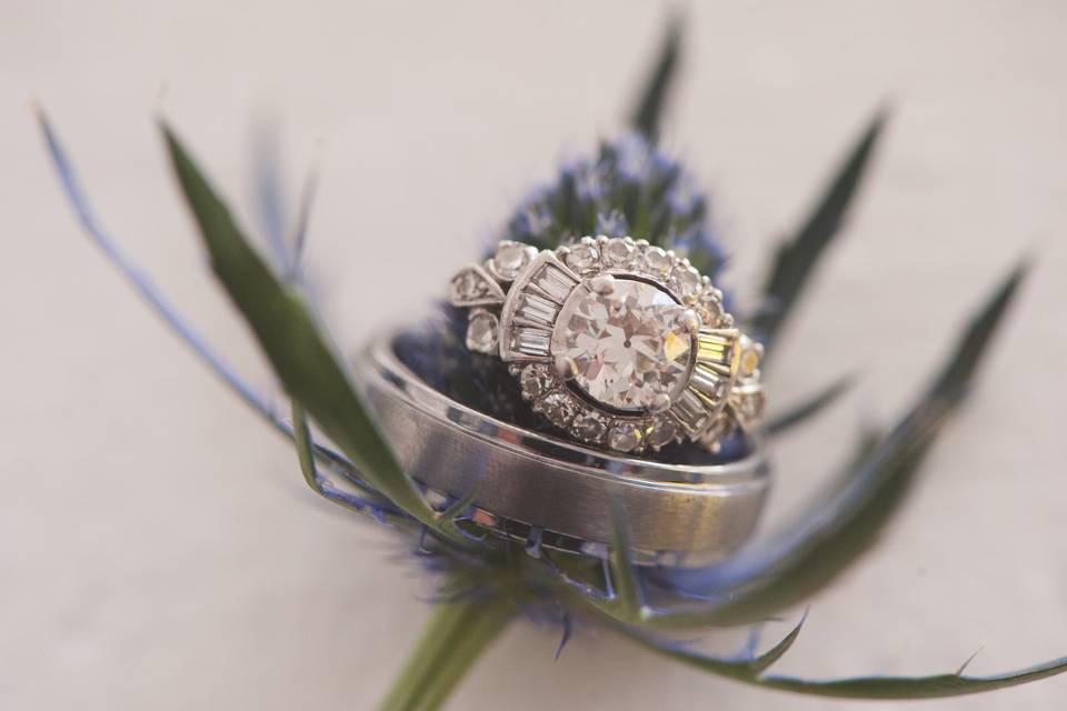 Maryrose Brame Photography