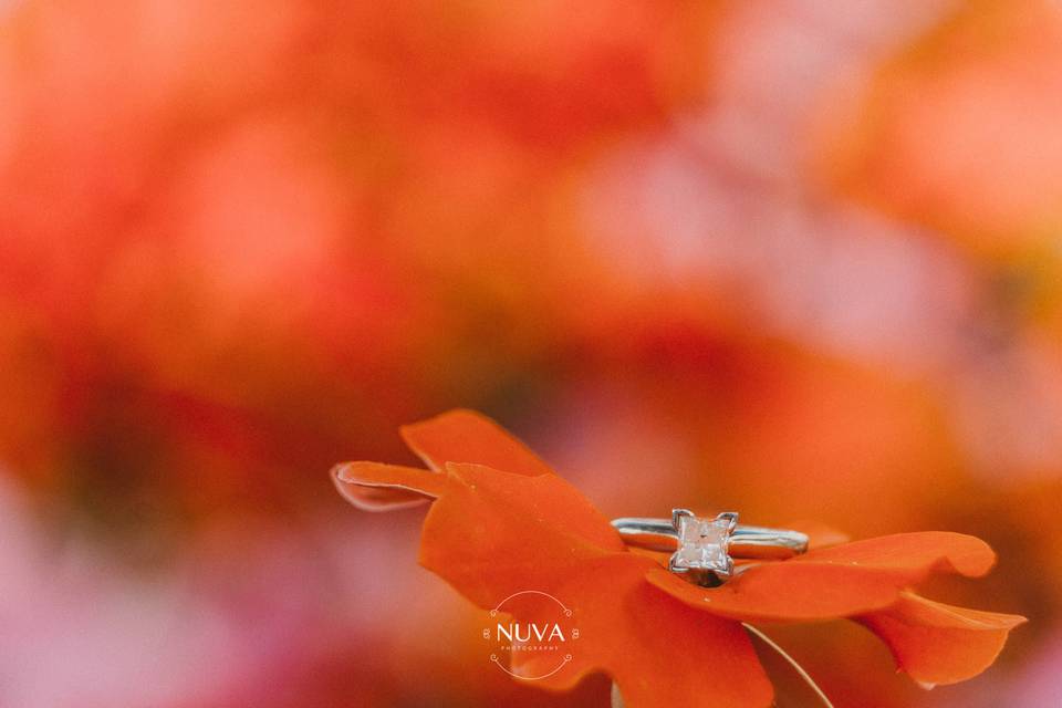 Nuva Photography