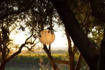 Medlock ames table overlooking vineyard