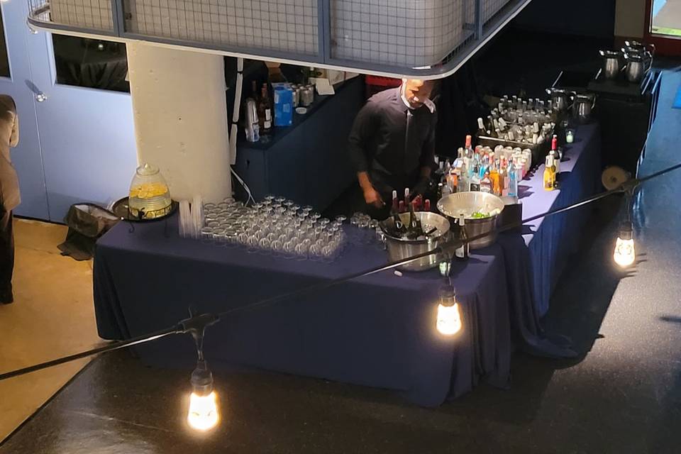 Reception Bar