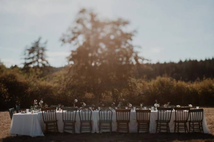 Vintage Outdoor Reception