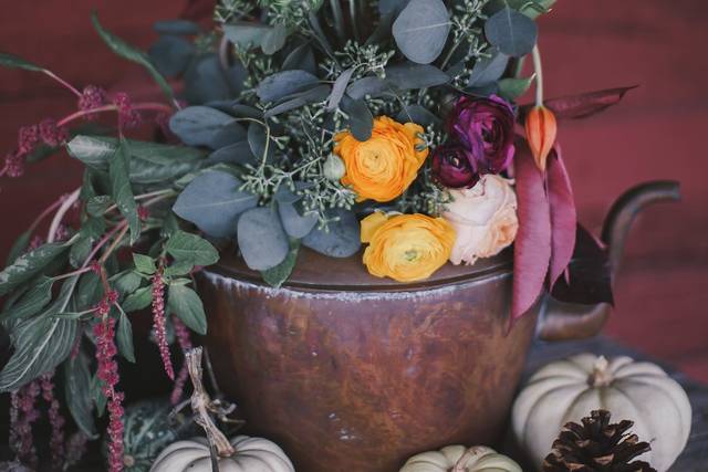 Katelyn King Photography