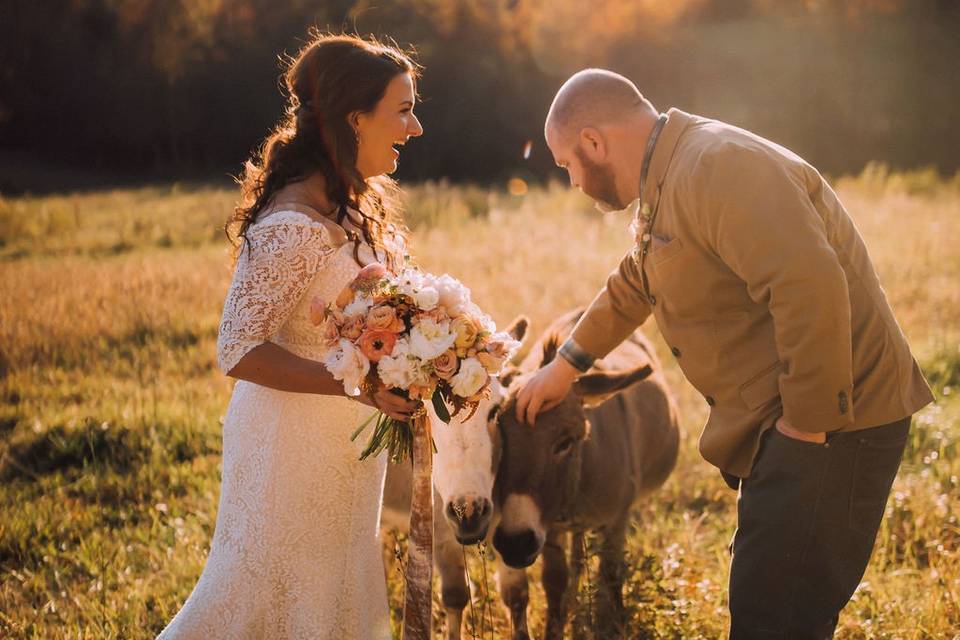 Mountain Laurel Farm