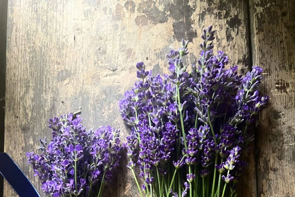 Our Own Lavender