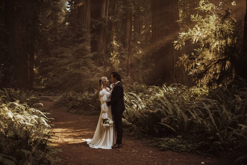 Redwoods Elopement