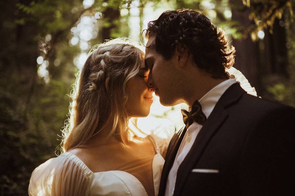 Redwoods Elopement