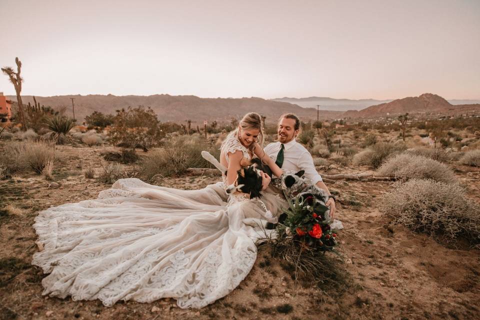 Joshua Tree, CA