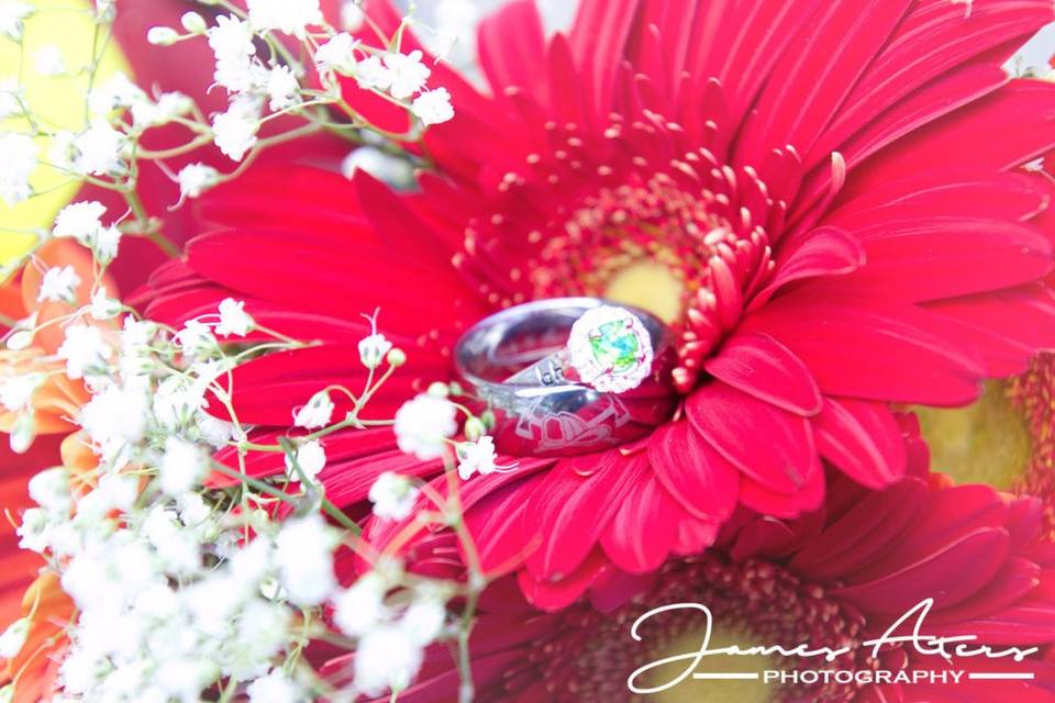 Wedding rings in flower