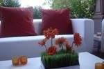 Gerberas and wheatgrass centerpiece