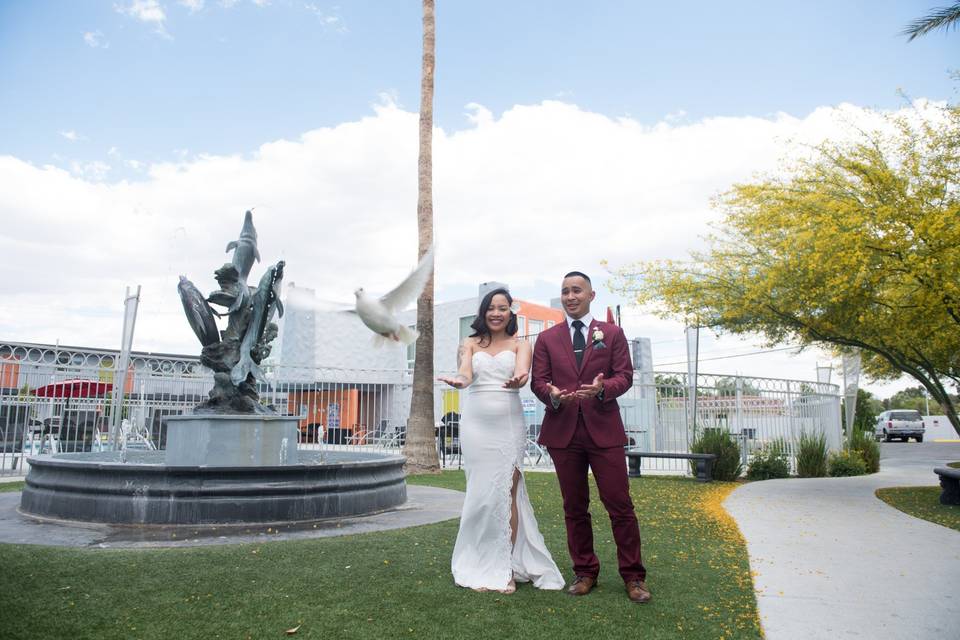 Wedding Dove Release