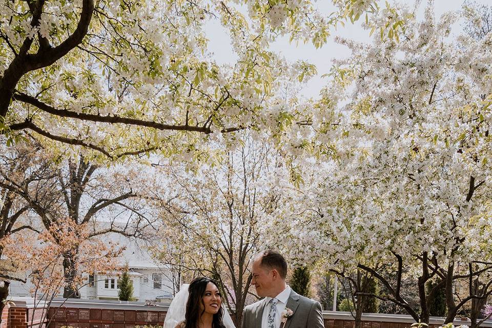 Lace Wedding Gown Alterations