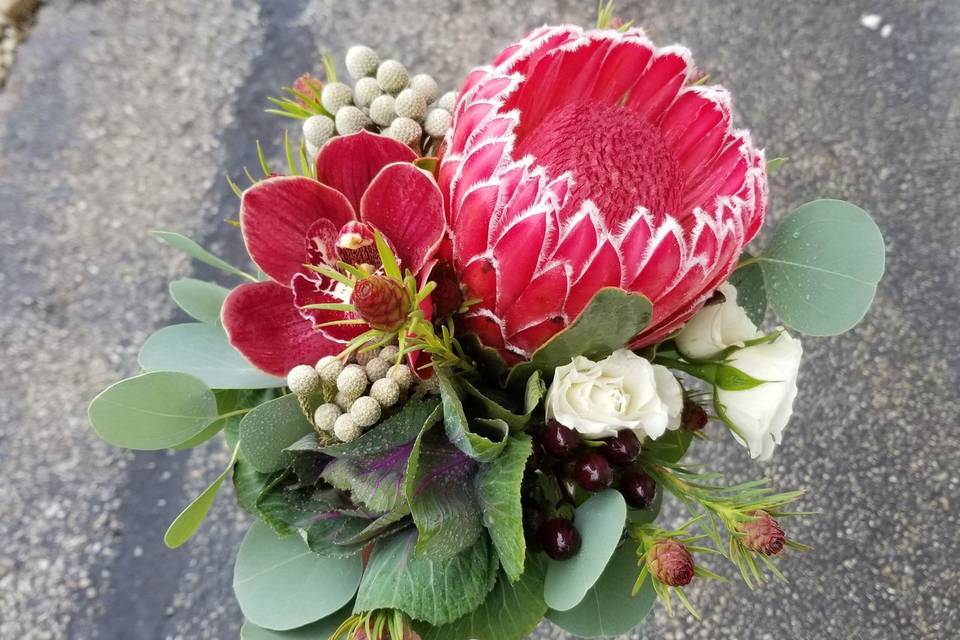 Perfect Protea Bouquet