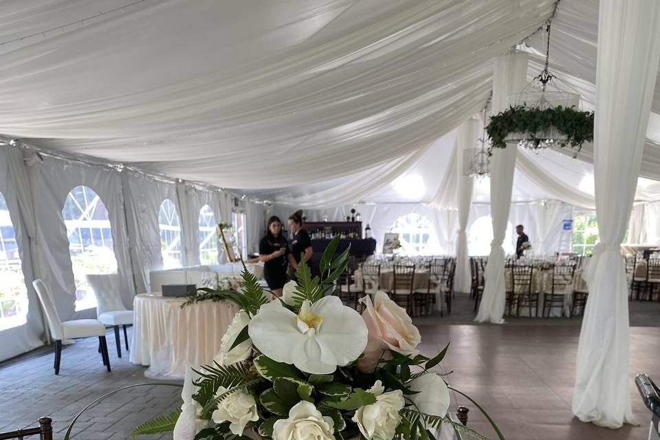 Orchids & Gold Centerpiece