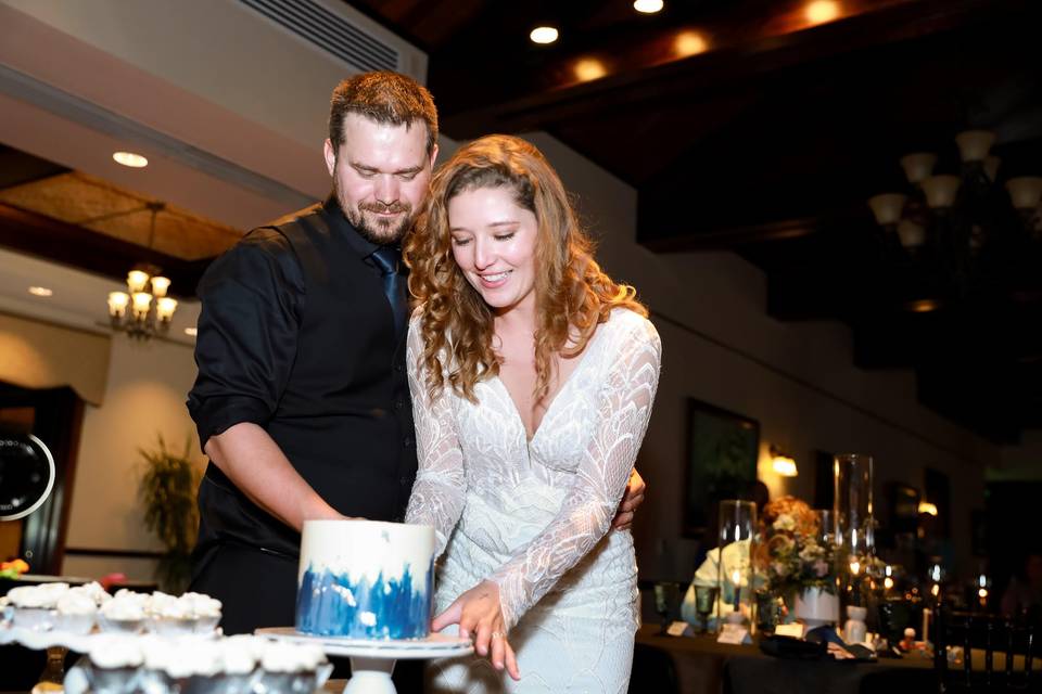 Cake Cutting