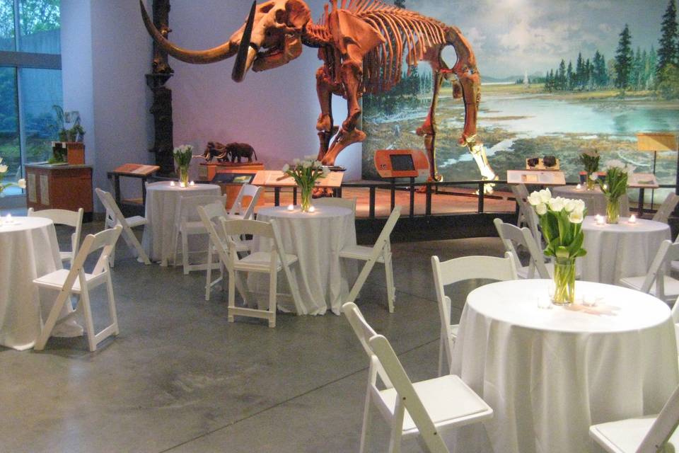 Tables by Mastodon