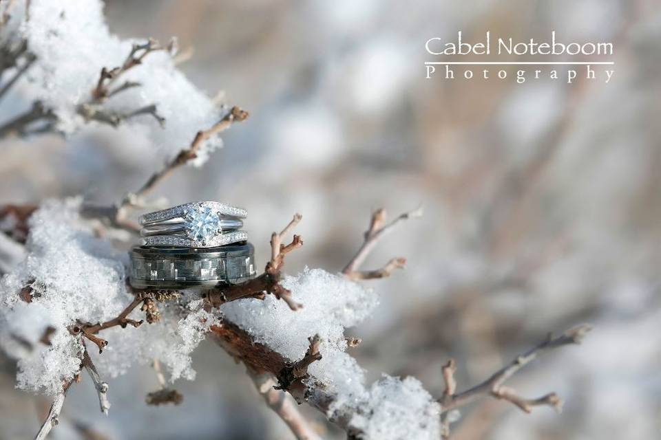 Cabel Noteboom Photography