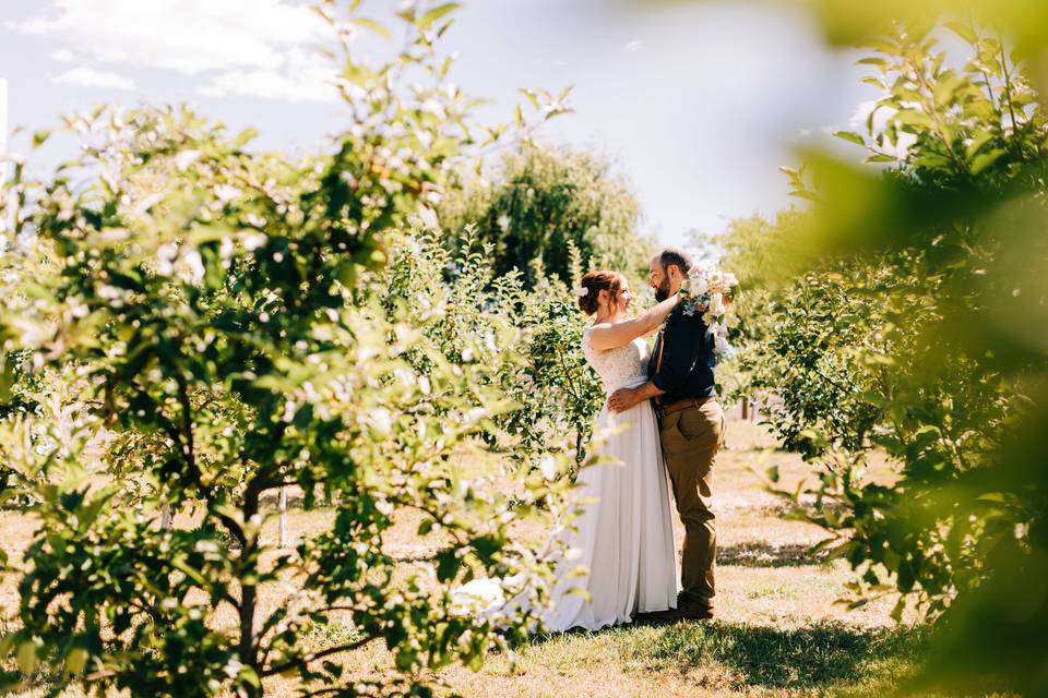 Photo in the Apple Orchard