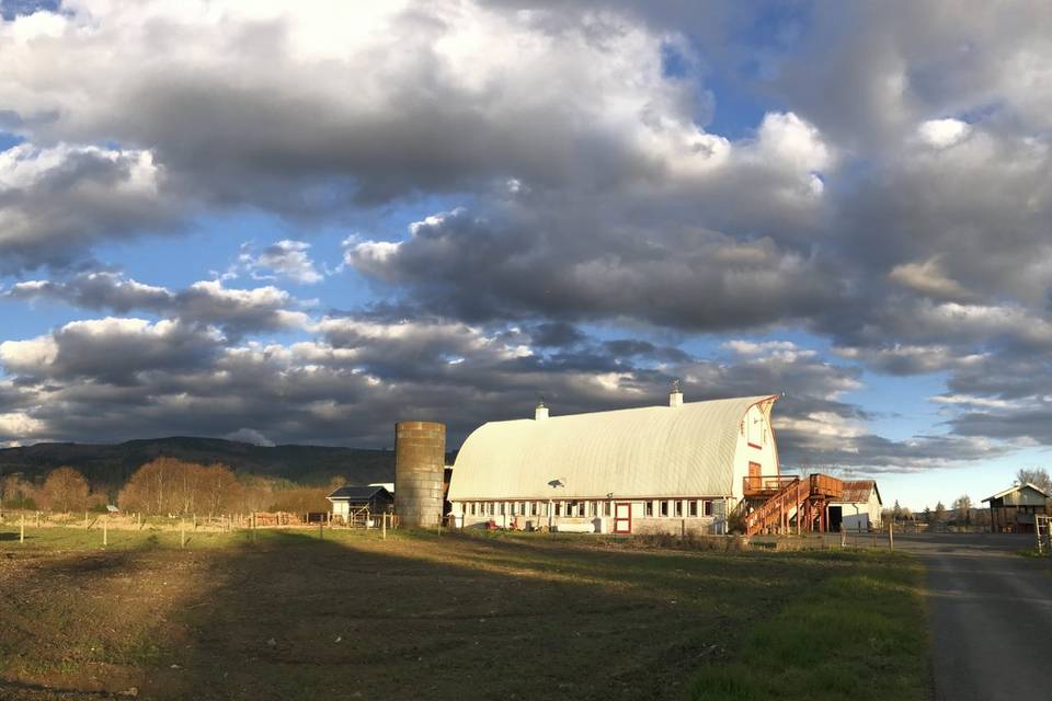 Island farmland views