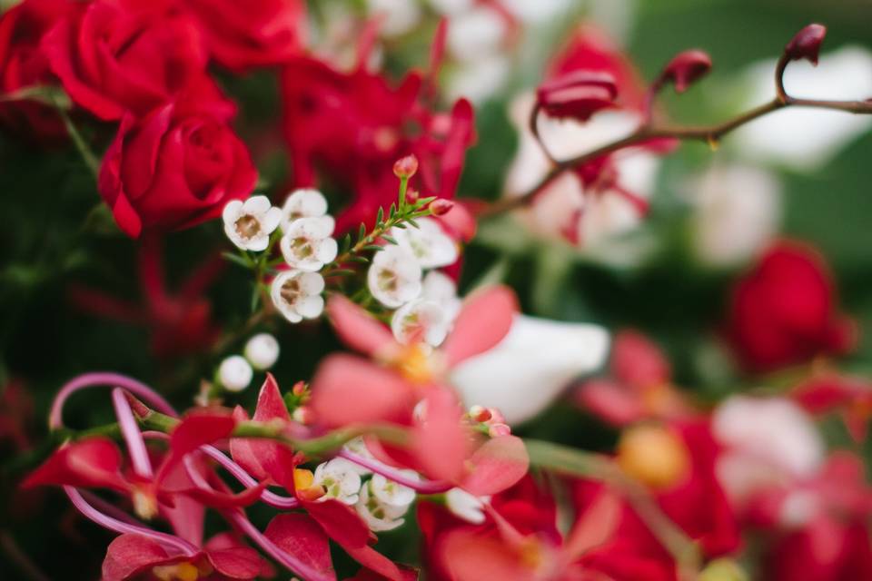 Beautiful mix of roses, orchids, and wax flower