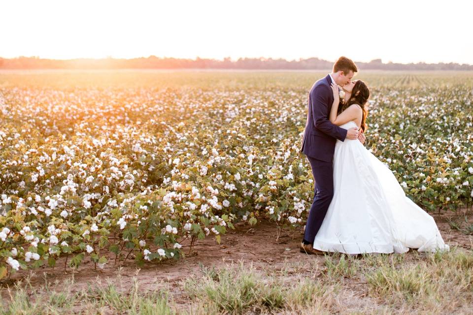 Farmland shot