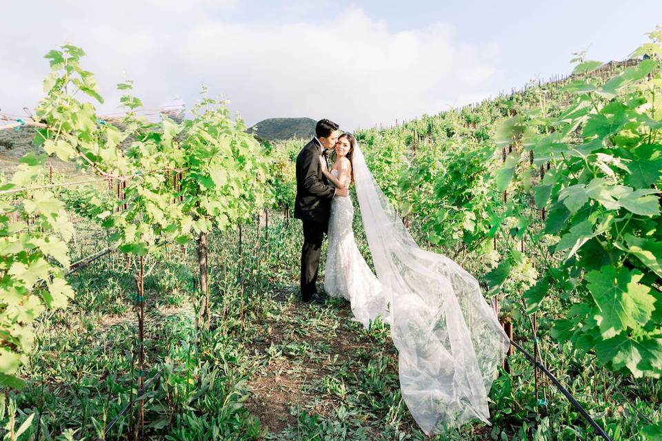 Carly Martin Photography