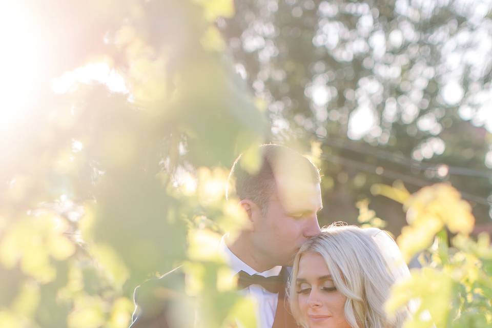 Tawny Lynn Photography