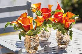 Orange flowers in vases