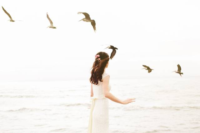 Kate Harrison Photography