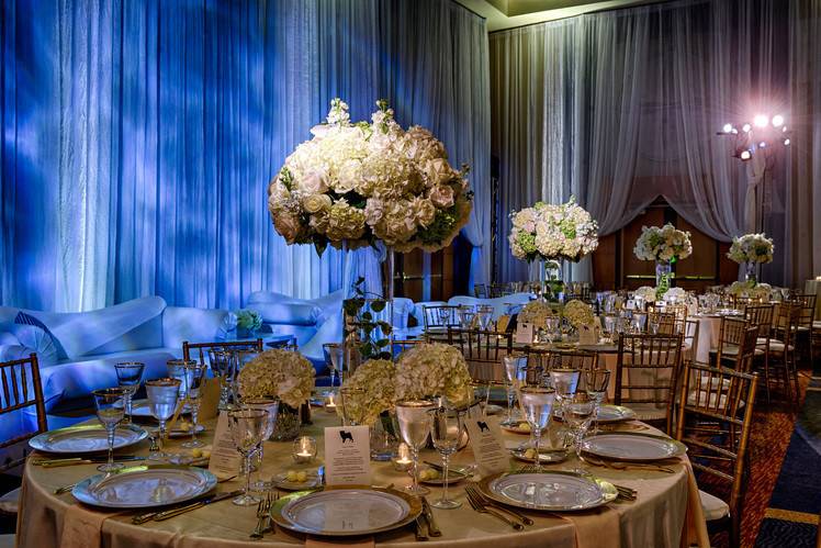 Sophisticated wedding reception