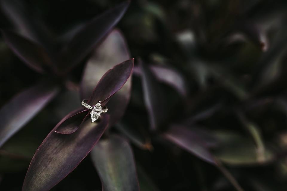 Engagement