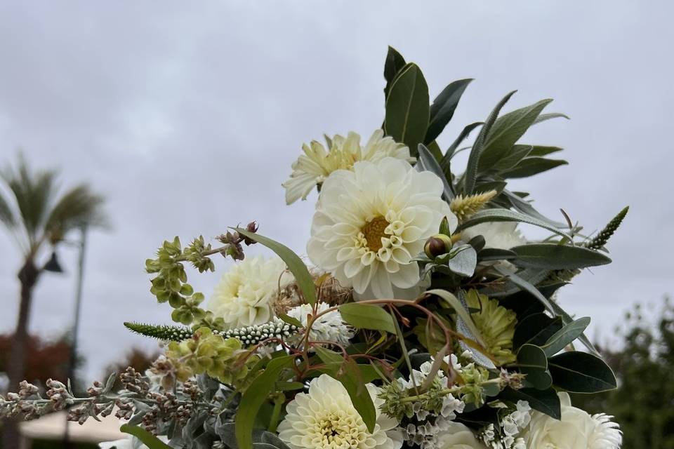 Foxboro Flower Farm