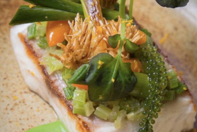 Pan sear Halibut