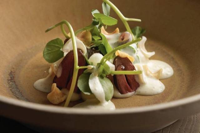 Appetizer