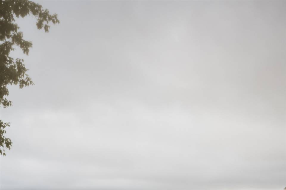 Minneapolis Wedding Photograph