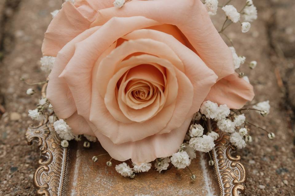Minneapolis Wedding Photograph