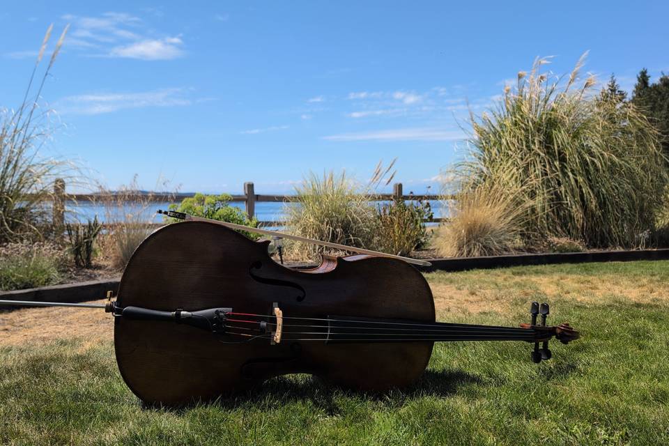 ESB Cello Performance