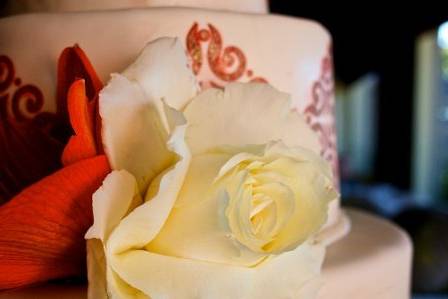 Noah Photography, LA and destination weddings