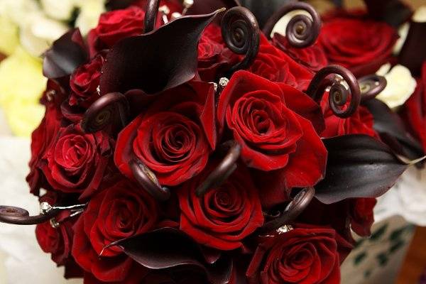 Bride's bouquet with roses, mini calla lilies and fiddlehead fern