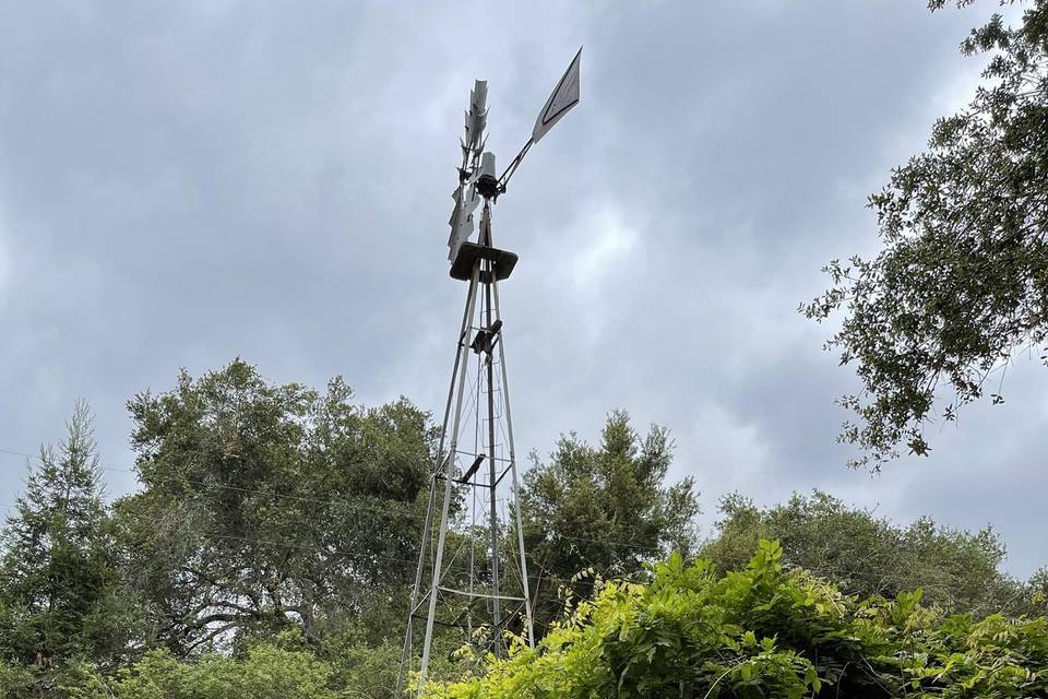 The Oaks Wisteria Windmill