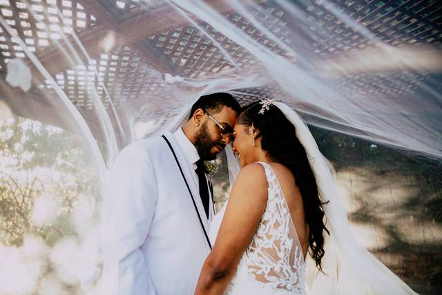 Sheraton Novi Wedding