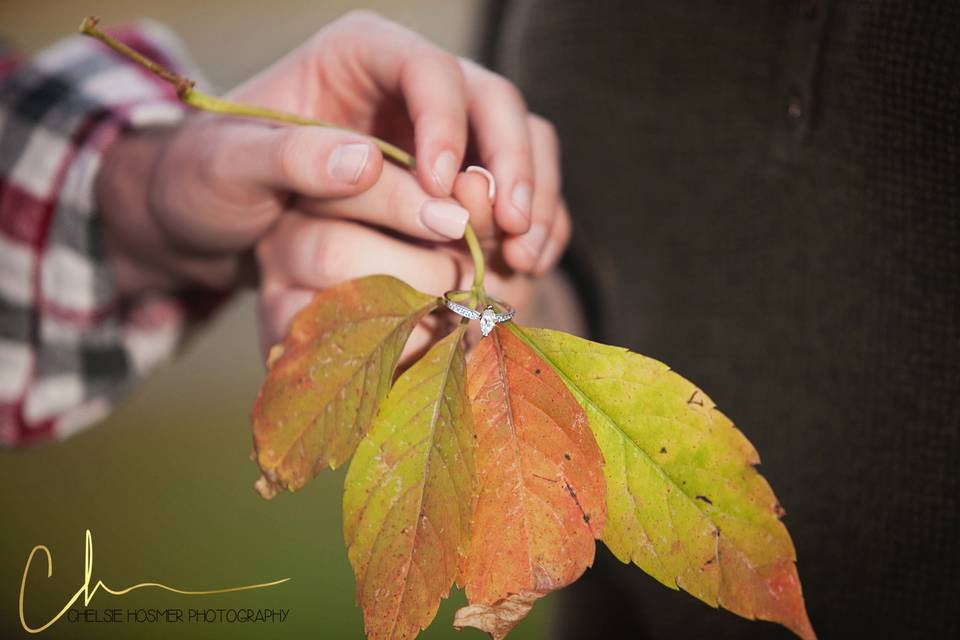 Chelsie Hosmer Photography