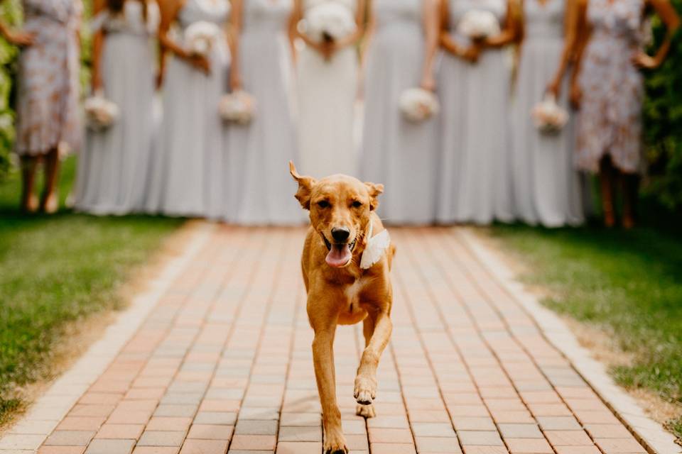 Down the aisle