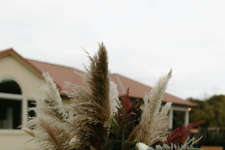 Dried Pampas - Black - Potomac Floral Wholesale