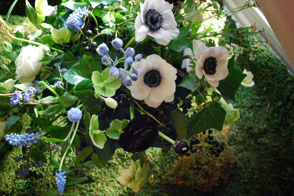 Anemone and hellebore