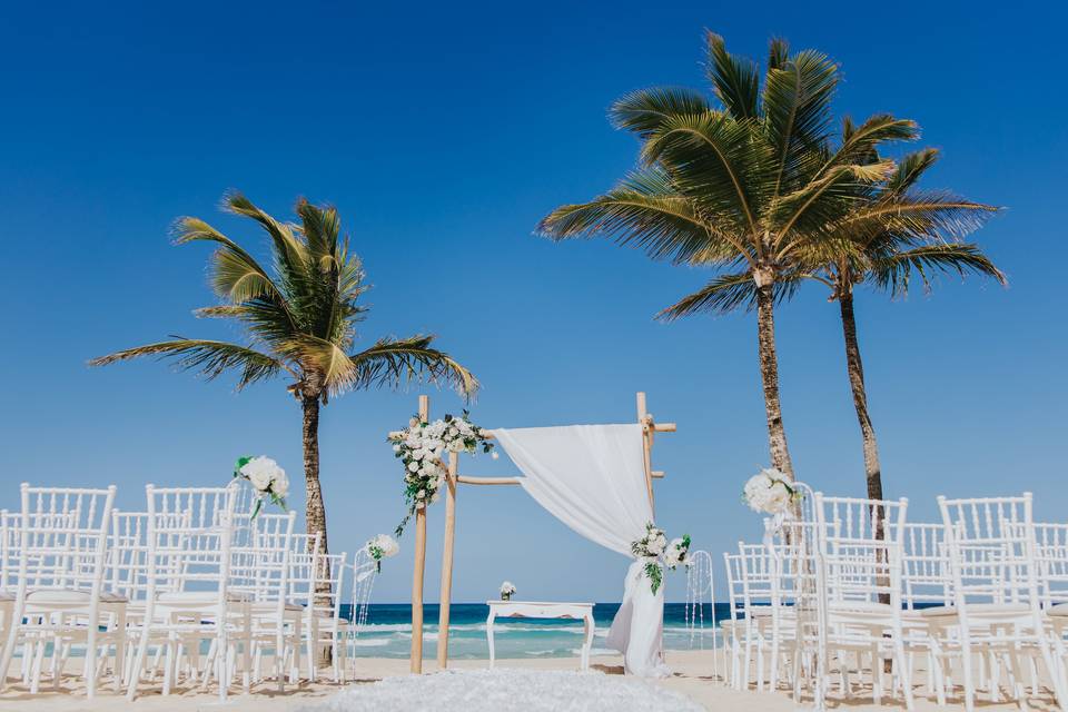 Palm Wedding
