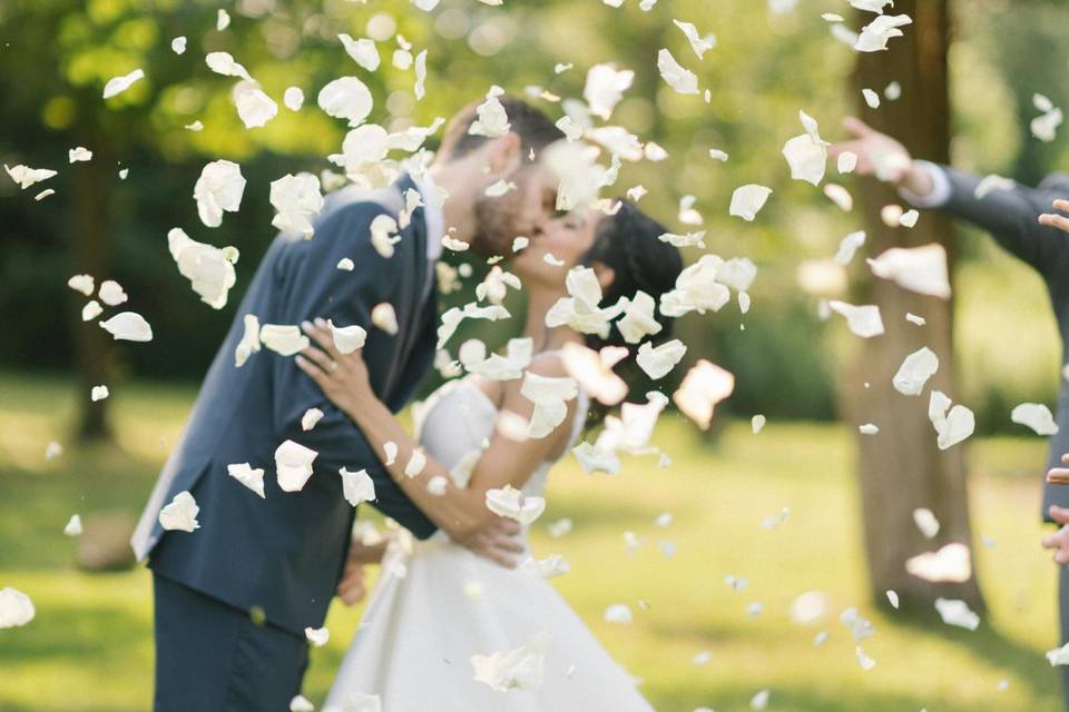 Petals